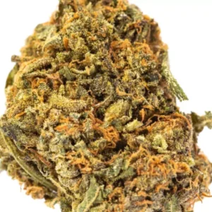 Buy Blue Cheese strain Online