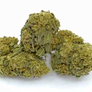Buy Green Dragon Strain Online