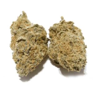 Buy Headband Strain Online