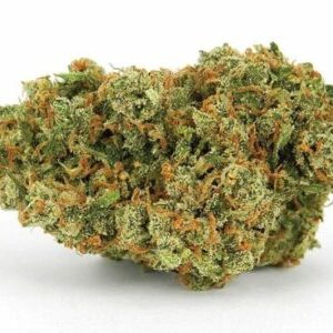 Buy Jack Herer Strain Online