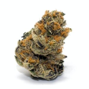 Buy Platinum Cookies Weed Strain Online