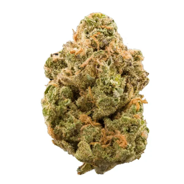 Buy Stardawg Strain Online
