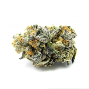 Buy Sugar Cookies Strain Online