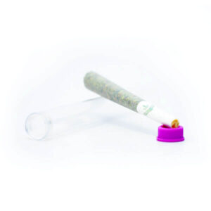 Indica Pre-Rolled Joint